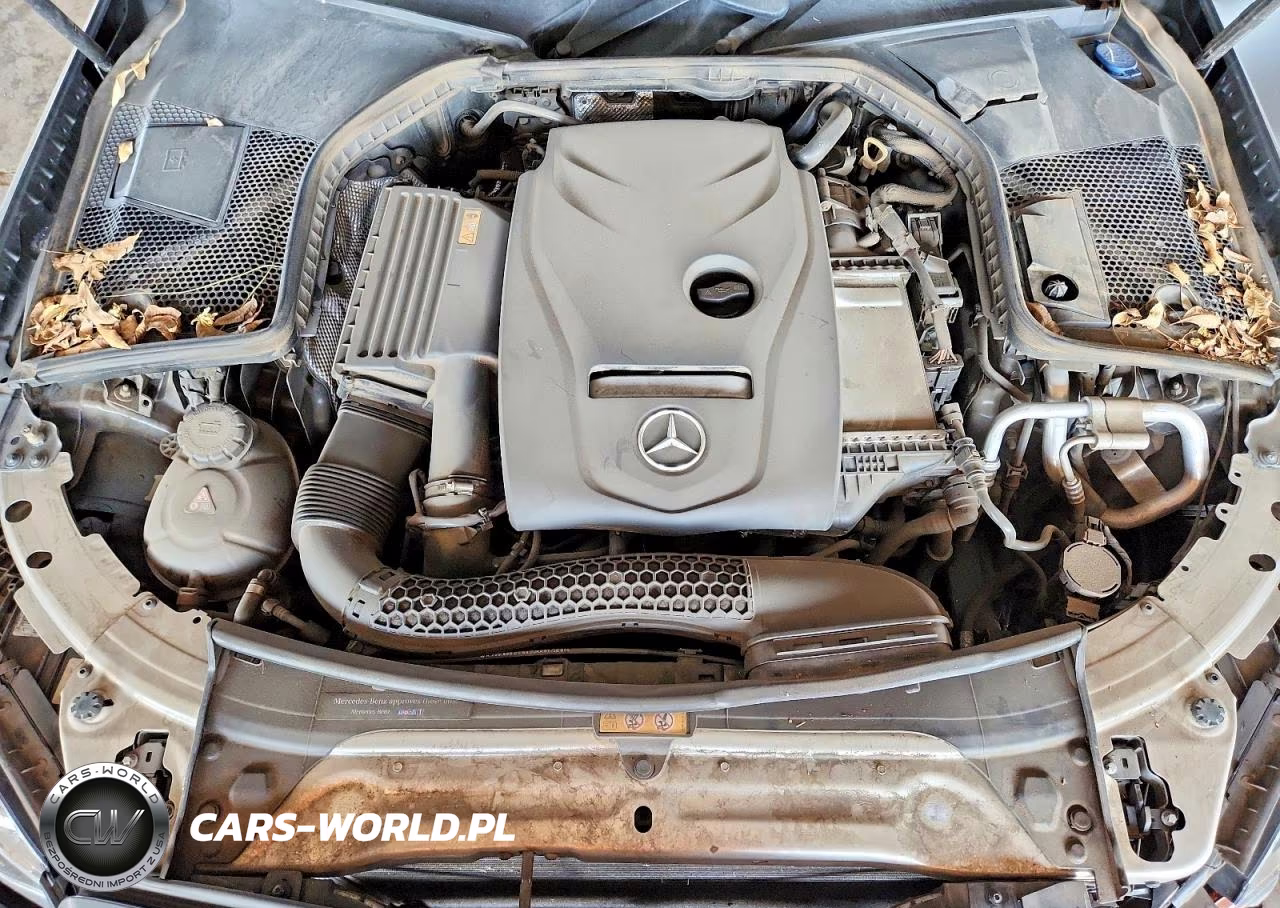 2018 Mercedes-Benz C 300 VIN:55SWF4JBXJU270984 - 11