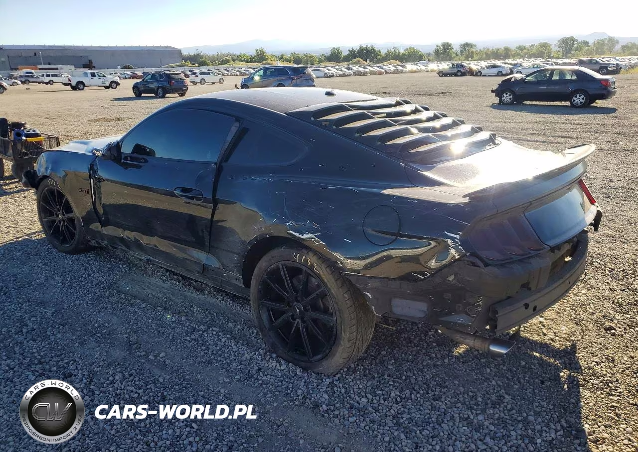 2019 Ford Mustang VIN:1FA6P8TH1K5143914 - 2
