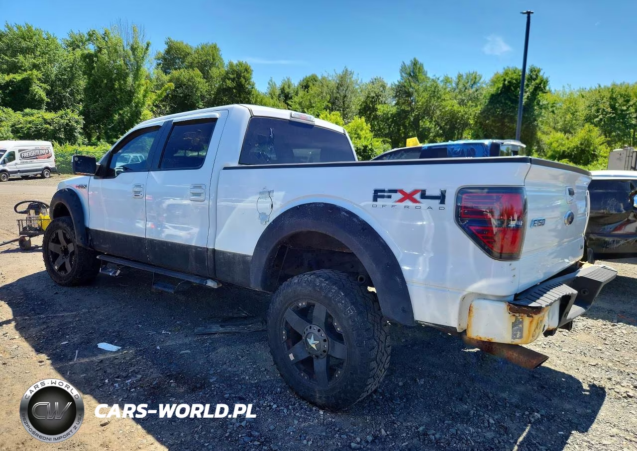 2010 Ford F150 Supercrew VIN:1FTFW1EV4AFD67727 - 2