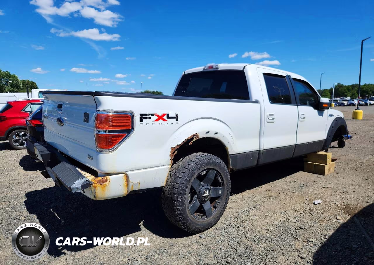 2010 Ford F150 Supercrew VIN:1FTFW1EV4AFD67727 - 3