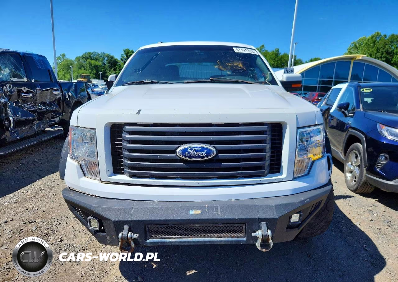 2010 Ford F150 Supercrew VIN:1FTFW1EV4AFD67727 - 5