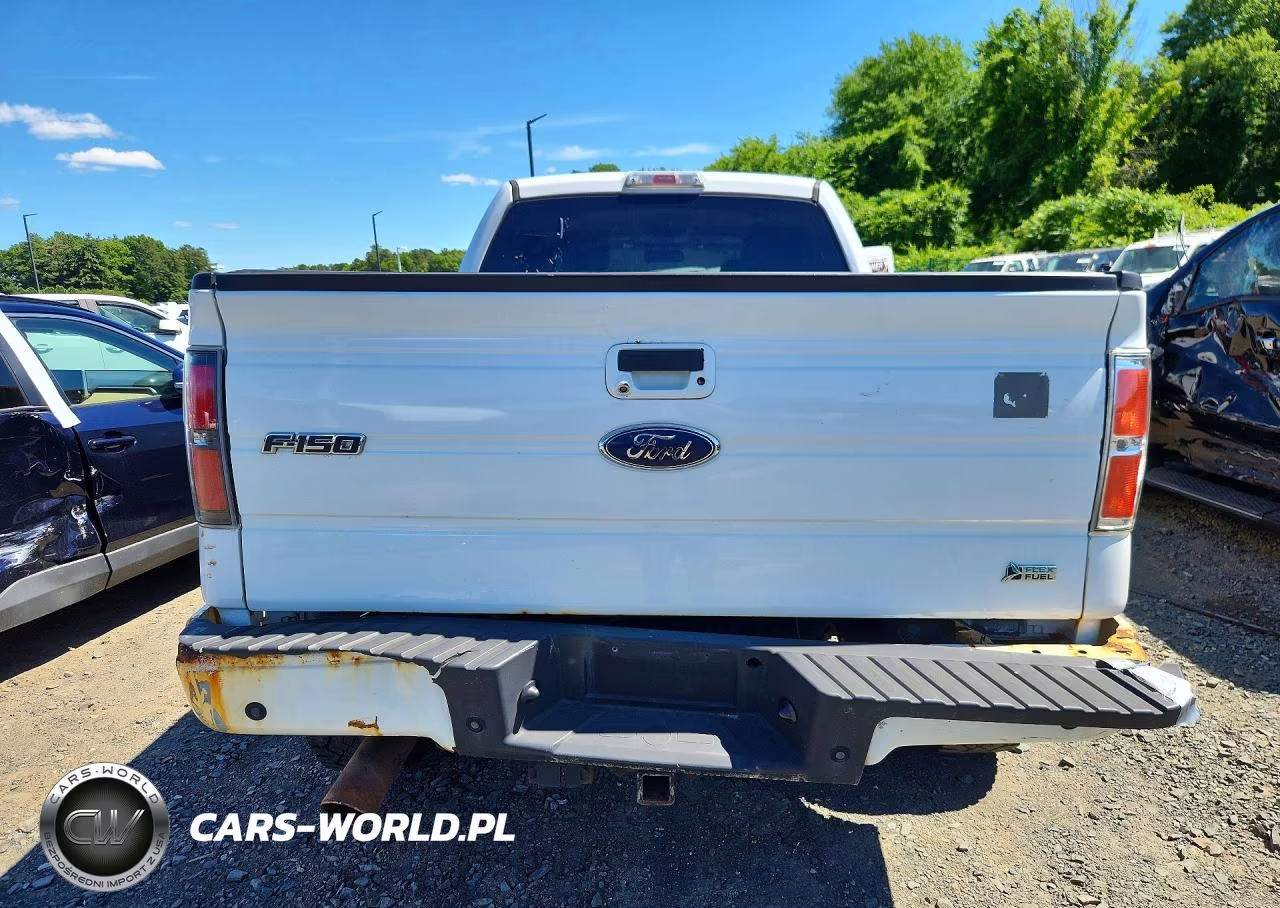 2010 Ford F150 Supercrew VIN:1FTFW1EV4AFD67727 - 6