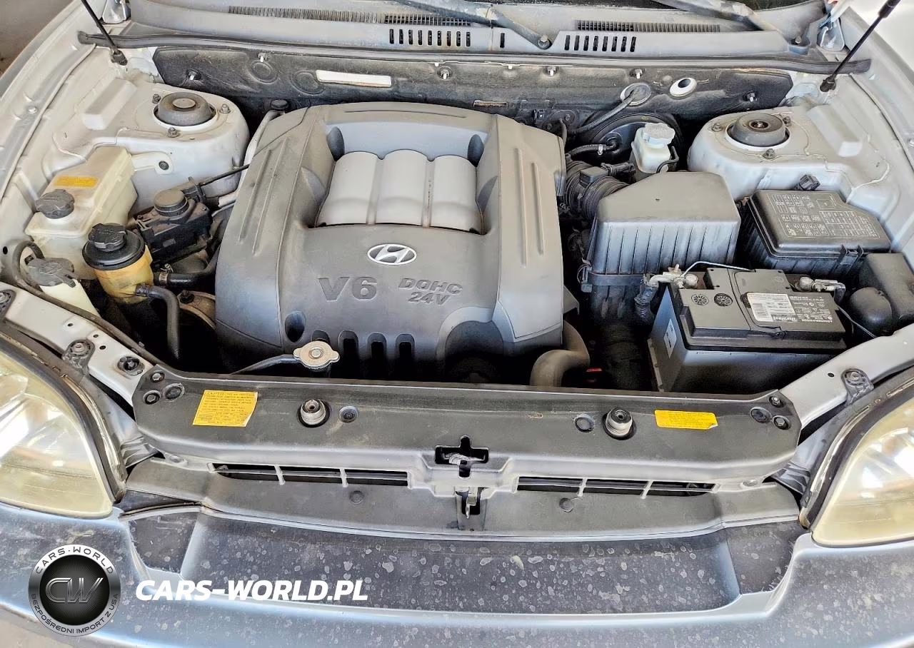 2005 Hyundai Santa Fe Gls VIN:KM8SC73D65U959213 - 12