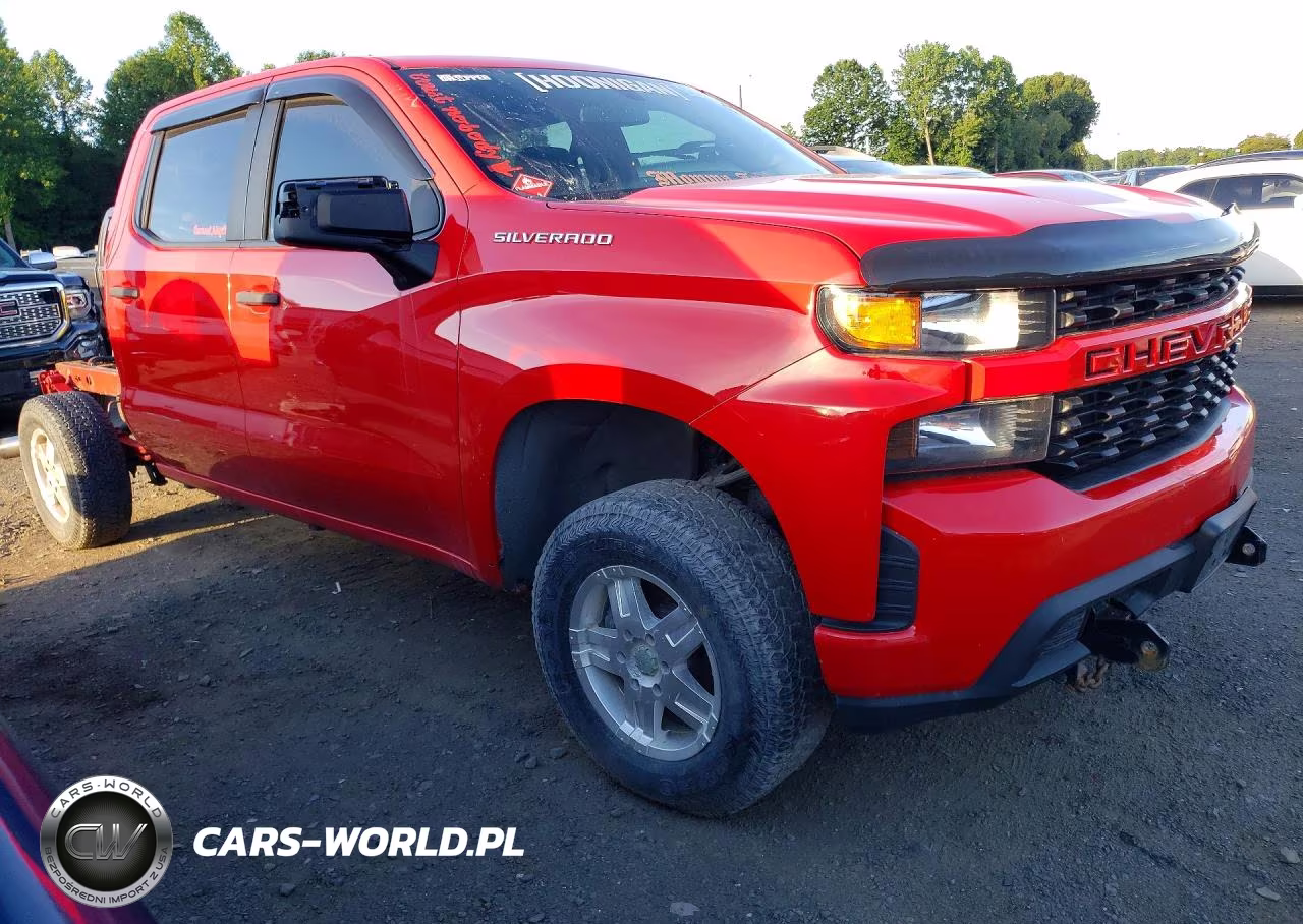 2019 Chevrolet Silverado K1500 Custom VIN:3GCPYBEH4KG222072 - 4