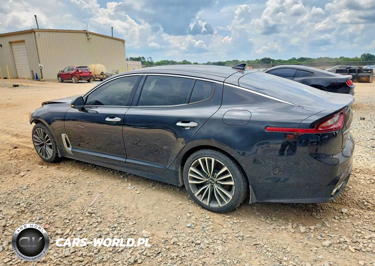 2019 Kia Stinger Base VIN:KNAE15LA1K6053159 - 2