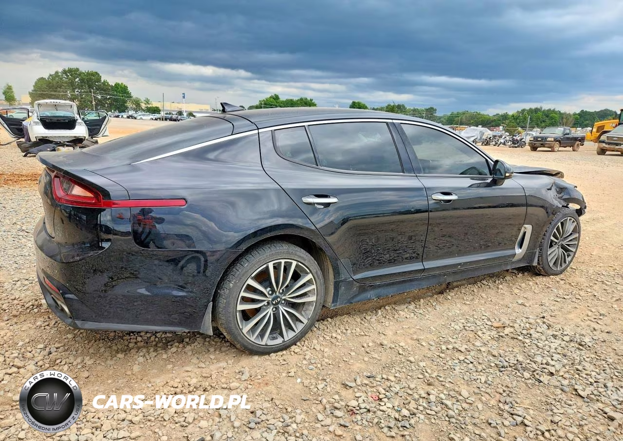 2019 Kia Stinger Base VIN:KNAE15LA1K6053159 - 3