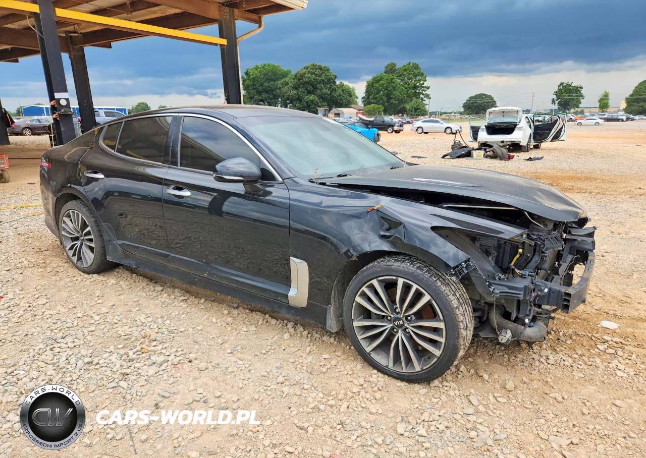 2019 Kia Stinger Base VIN:KNAE15LA1K6053159 - 4