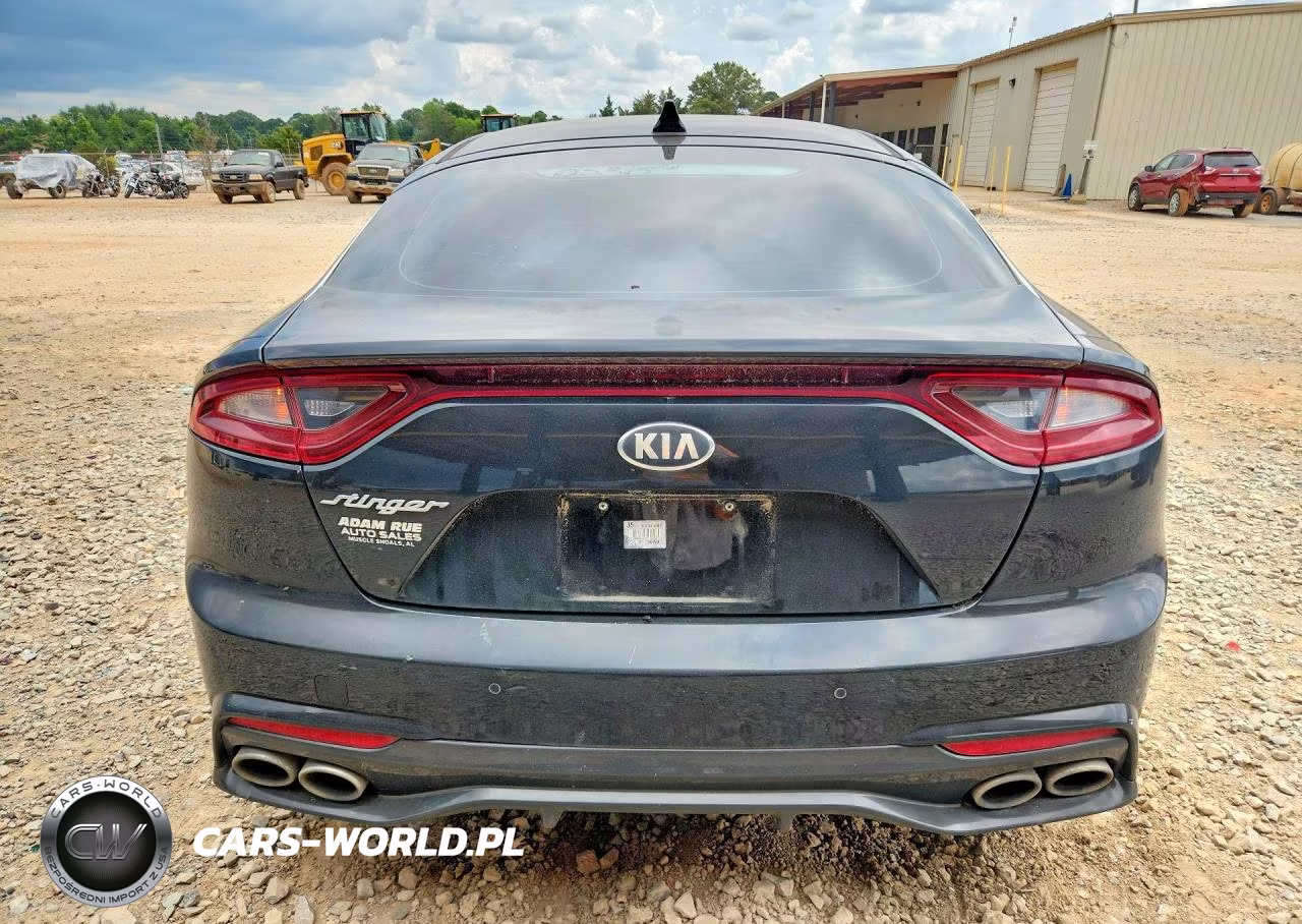 2019 Kia Stinger Base VIN:KNAE15LA1K6053159 - 6