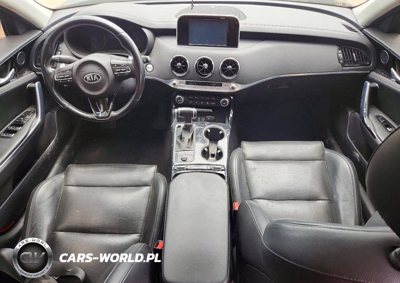 2019 Kia Stinger Base VIN:KNAE15LA1K6053159 - 8