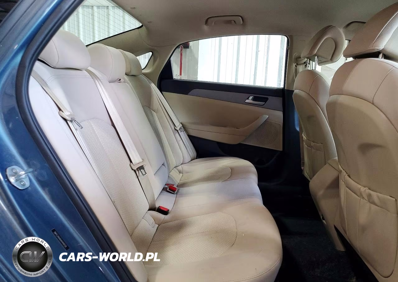 2017 Hyundai Sonata Eco VIN:5NPE24AA6HH449129 - 10