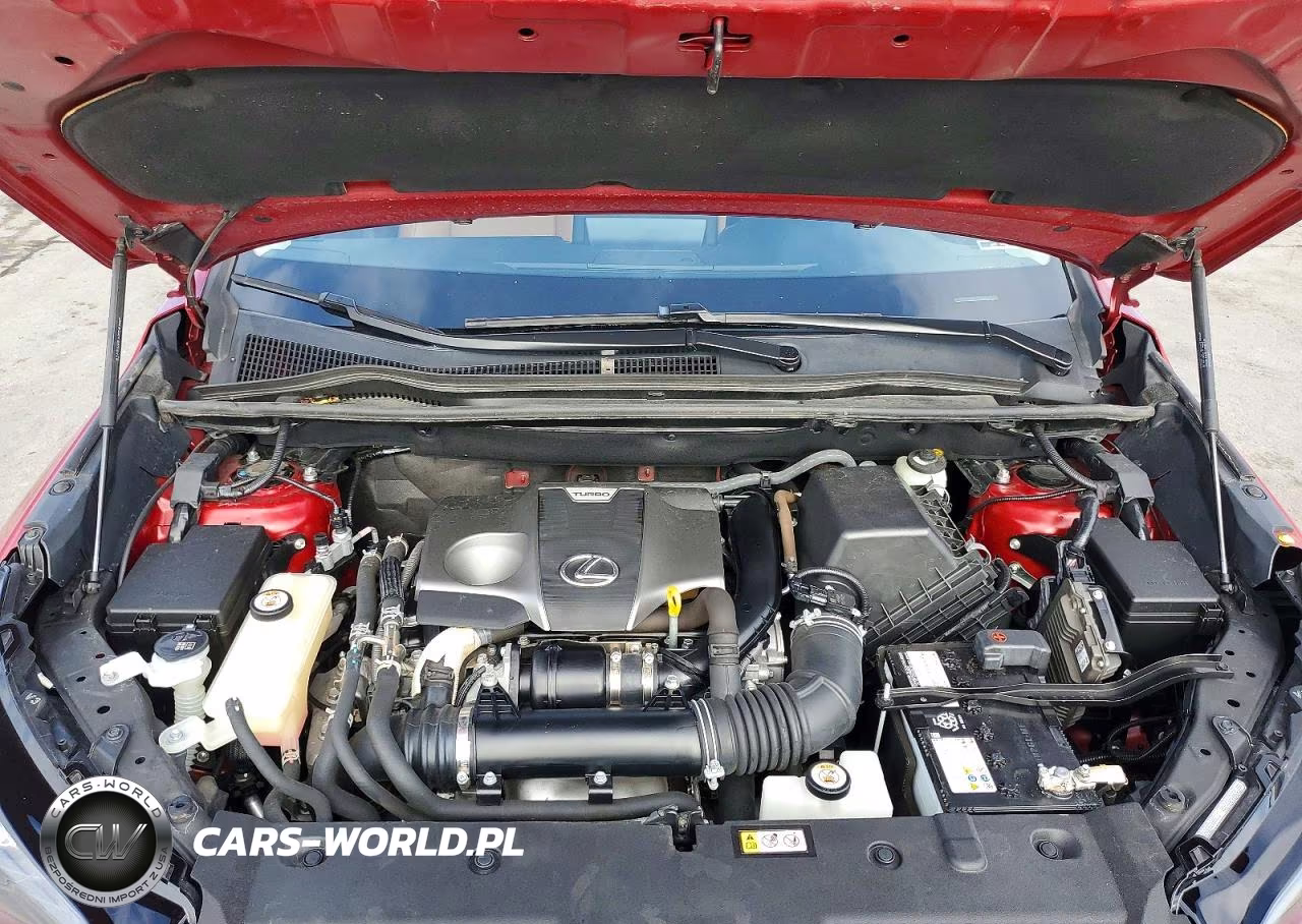 2021 Lexus Nx 300 VIN:JTJGARBZ6M5023154 - 12
