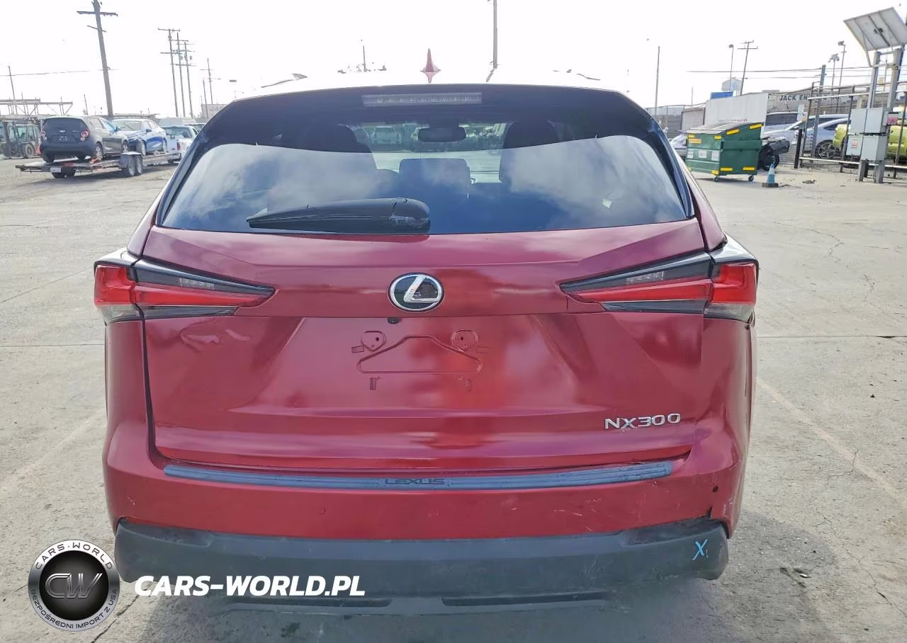 2021 Lexus Nx 300 VIN:JTJGARBZ6M5023154 - 6