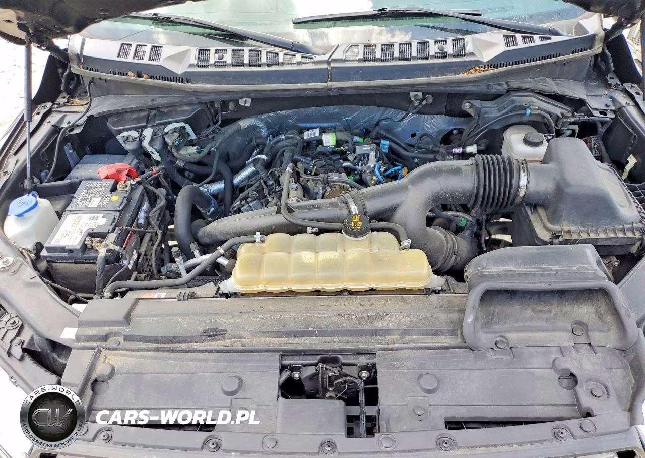2019 Ford F150 Supercrew VIN:1FTEW1EP2KKC62674 - 11