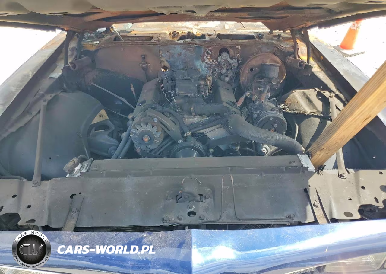 1978 Pontiac Firebird Hardtop VIN:2U87U8N134782 - 11