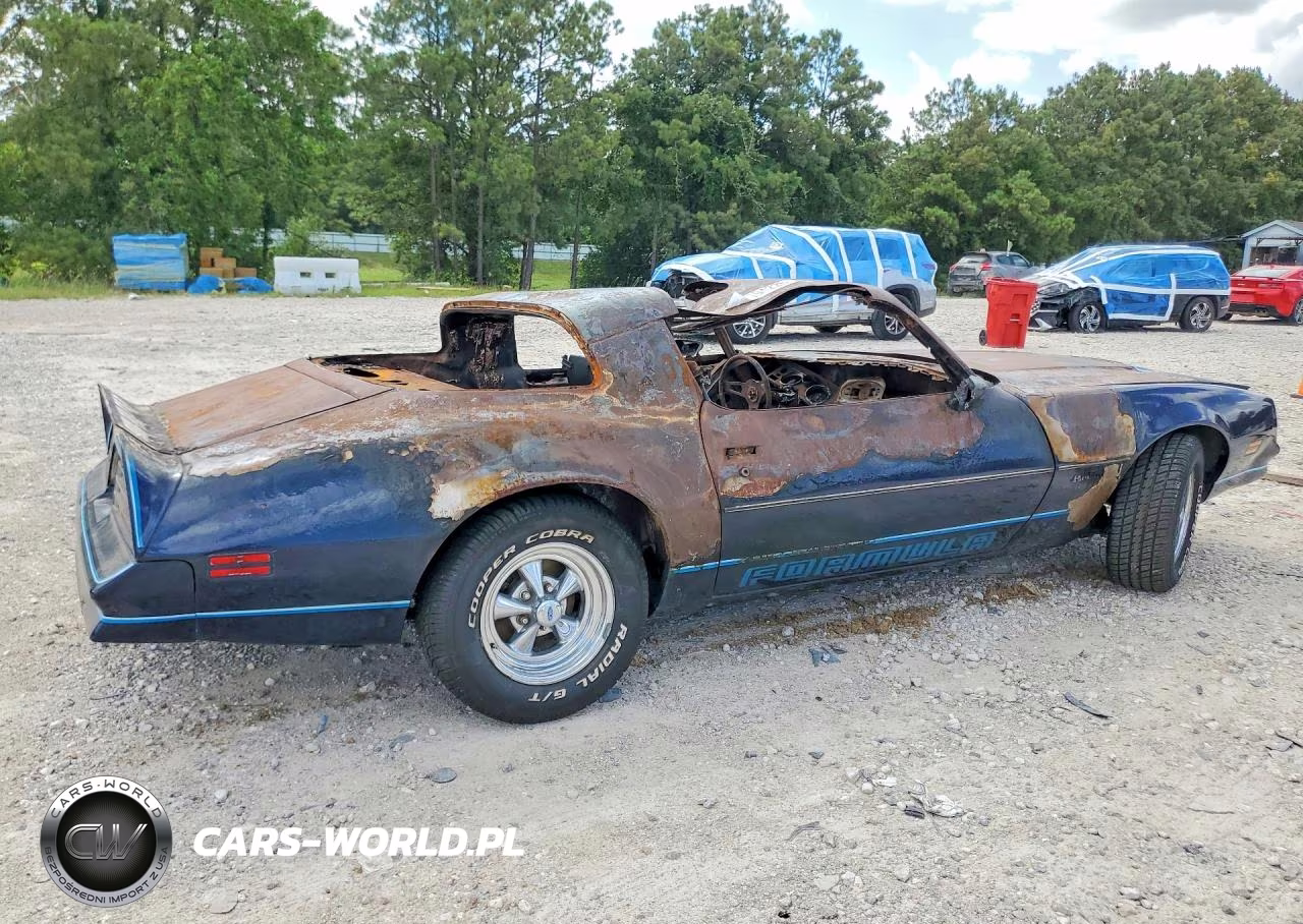 1978 Pontiac Firebird Hardtop VIN:2U87U8N134782 - 3