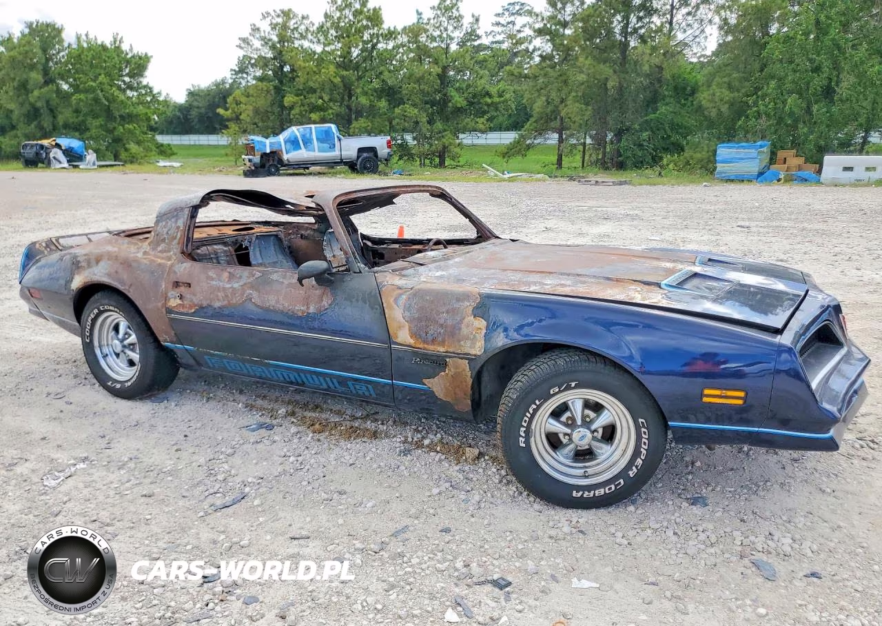 1978 Pontiac Firebird Hardtop VIN:2U87U8N134782 - 4