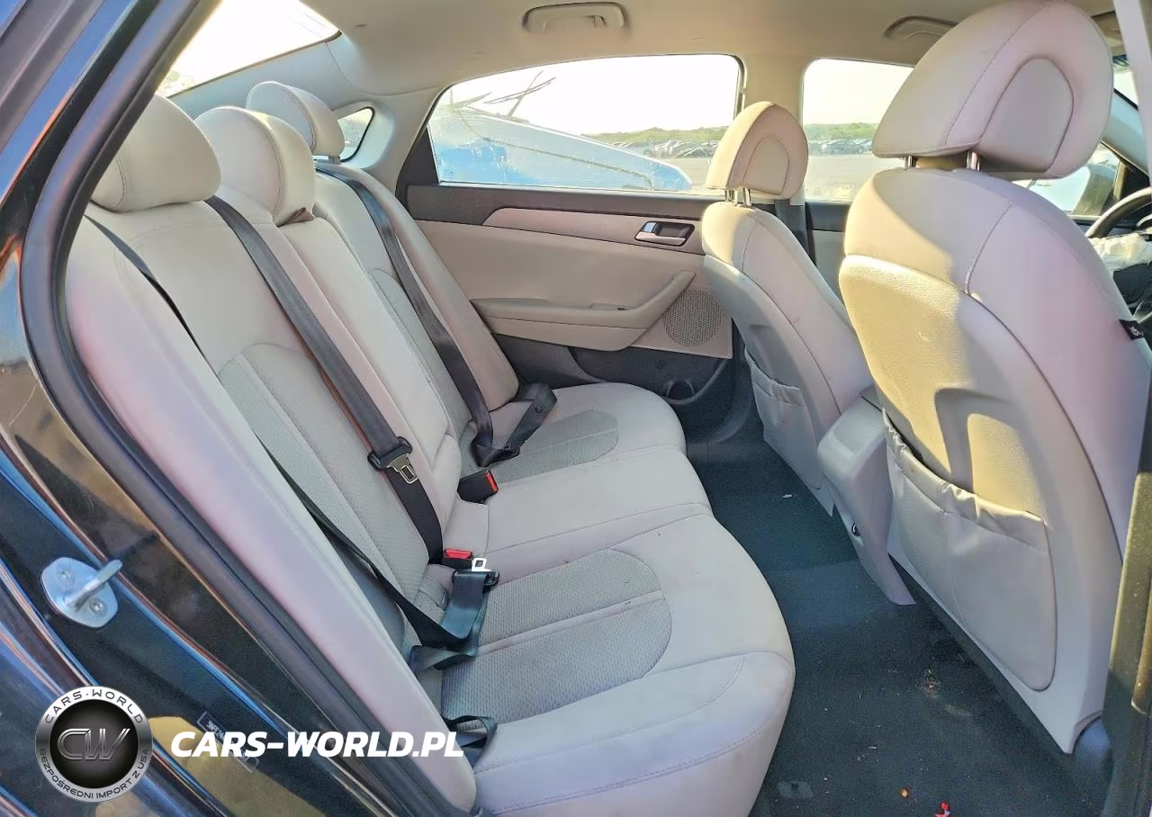 2016 Hyundai Sonata VIN:5NPE24AF4GH335317 - 10