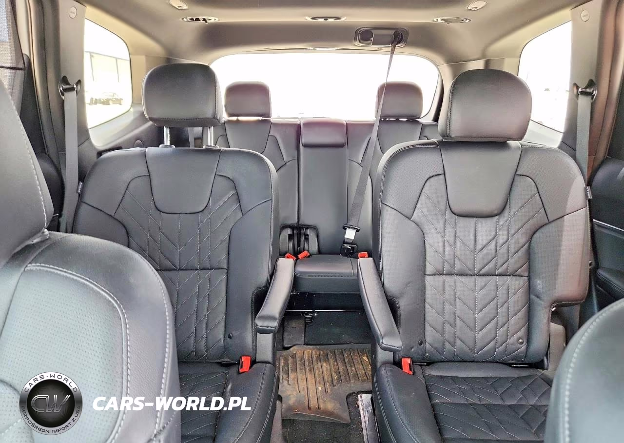2025 Kia Telluride Sx X-Line VIN:5XYP5DGC1SG671469 - 10