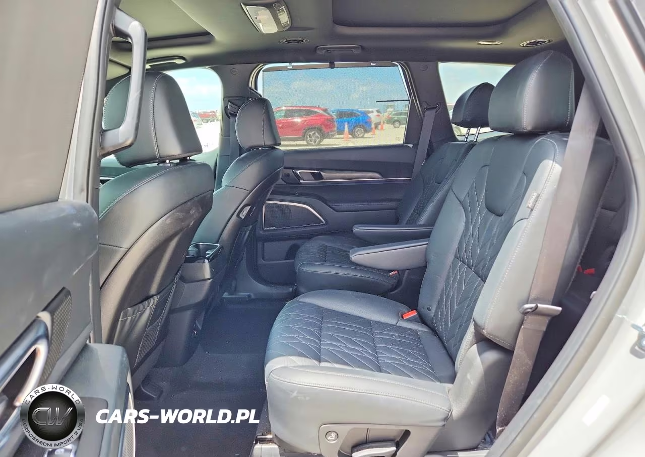 2025 Kia Telluride Sx X-Line VIN:5XYP5DGC1SG671469 - 11