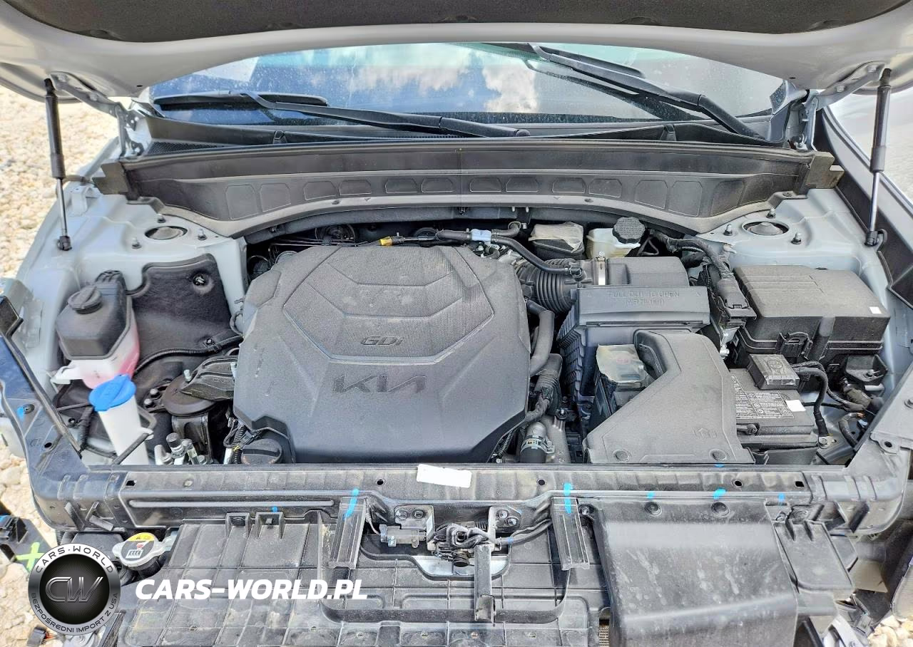 2025 Kia Telluride Sx X-Line VIN:5XYP5DGC1SG671469 - 12