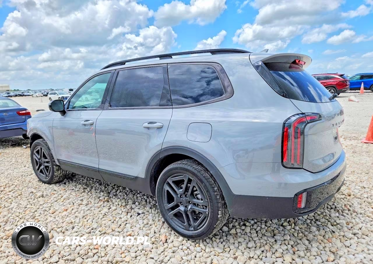 2025 Kia Telluride Sx X-Line VIN:5XYP5DGC1SG671469 - 2