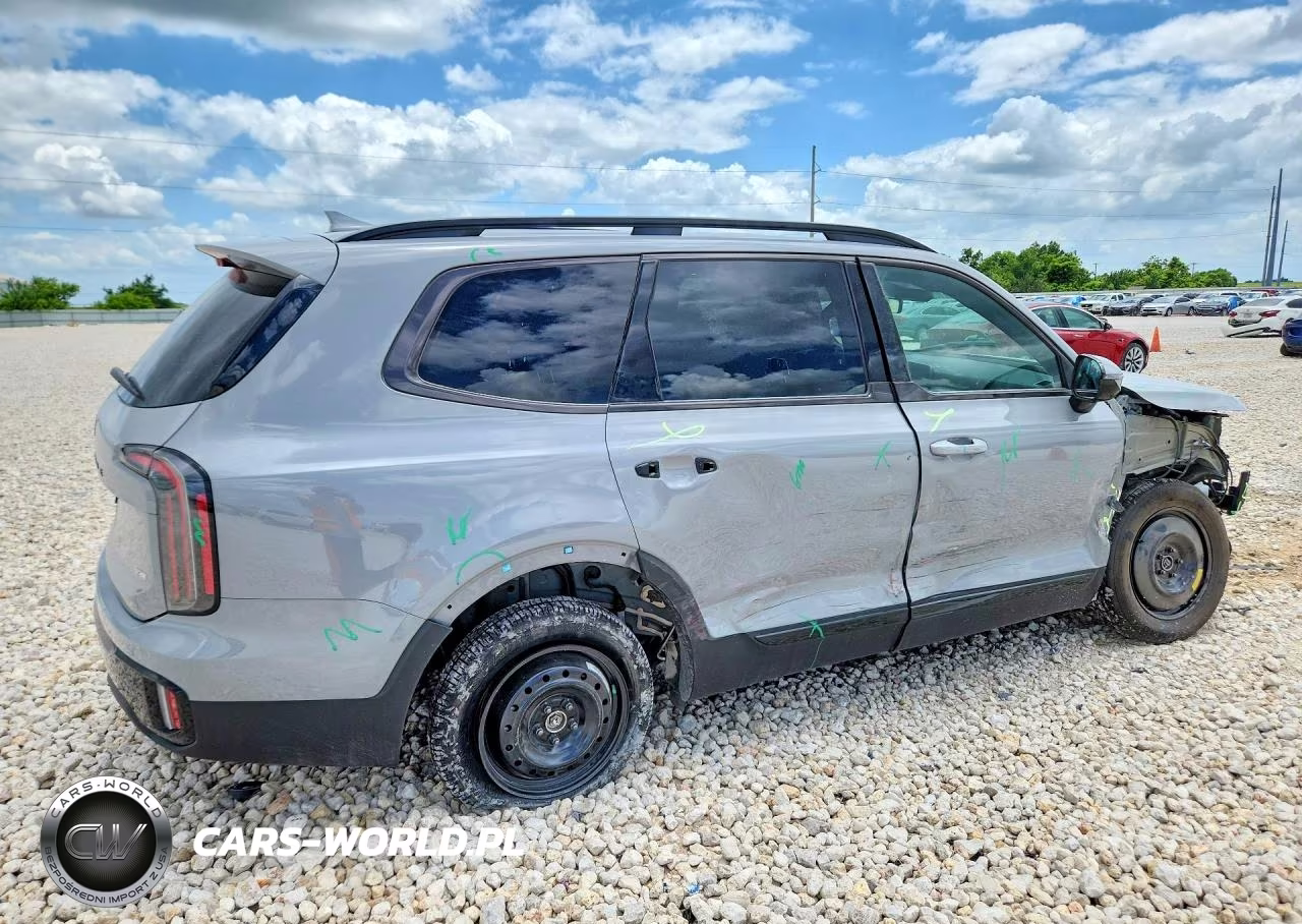 2025 Kia Telluride Sx X-Line VIN:5XYP5DGC1SG671469 - 3