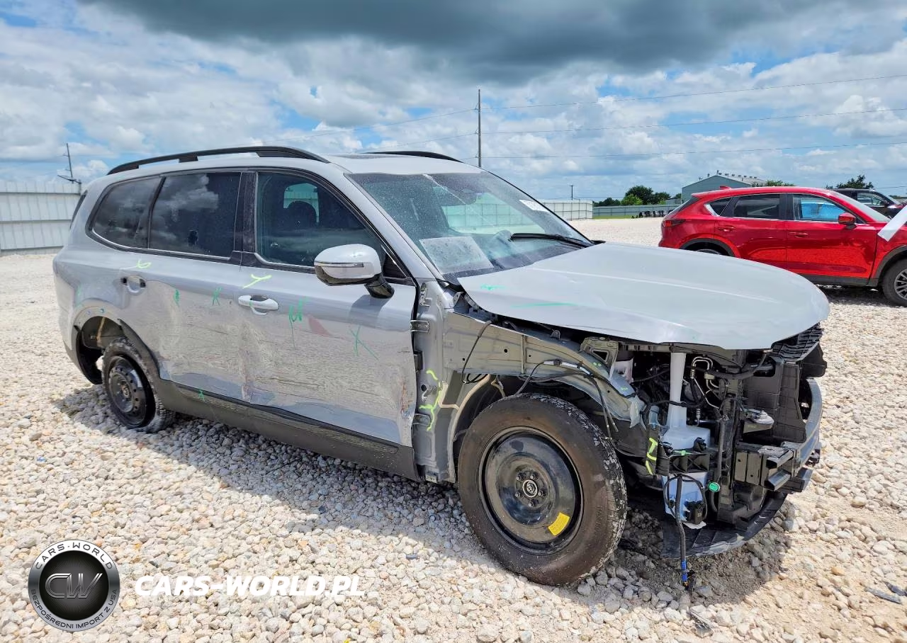 2025 Kia Telluride Sx X-Line VIN:5XYP5DGC1SG671469 - 4