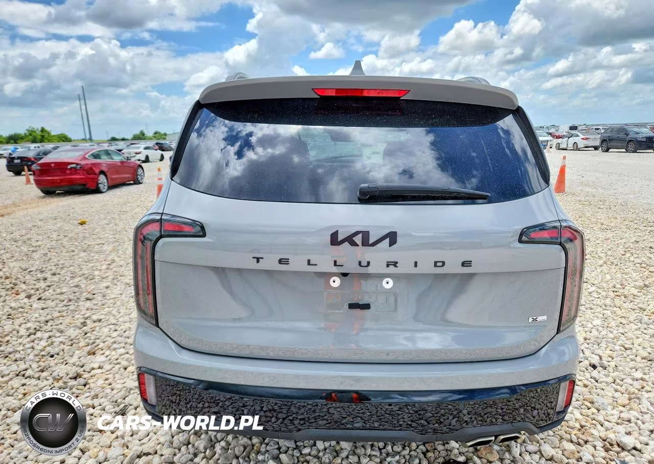 2025 Kia Telluride Sx X-Line VIN:5XYP5DGC1SG671469 - 6