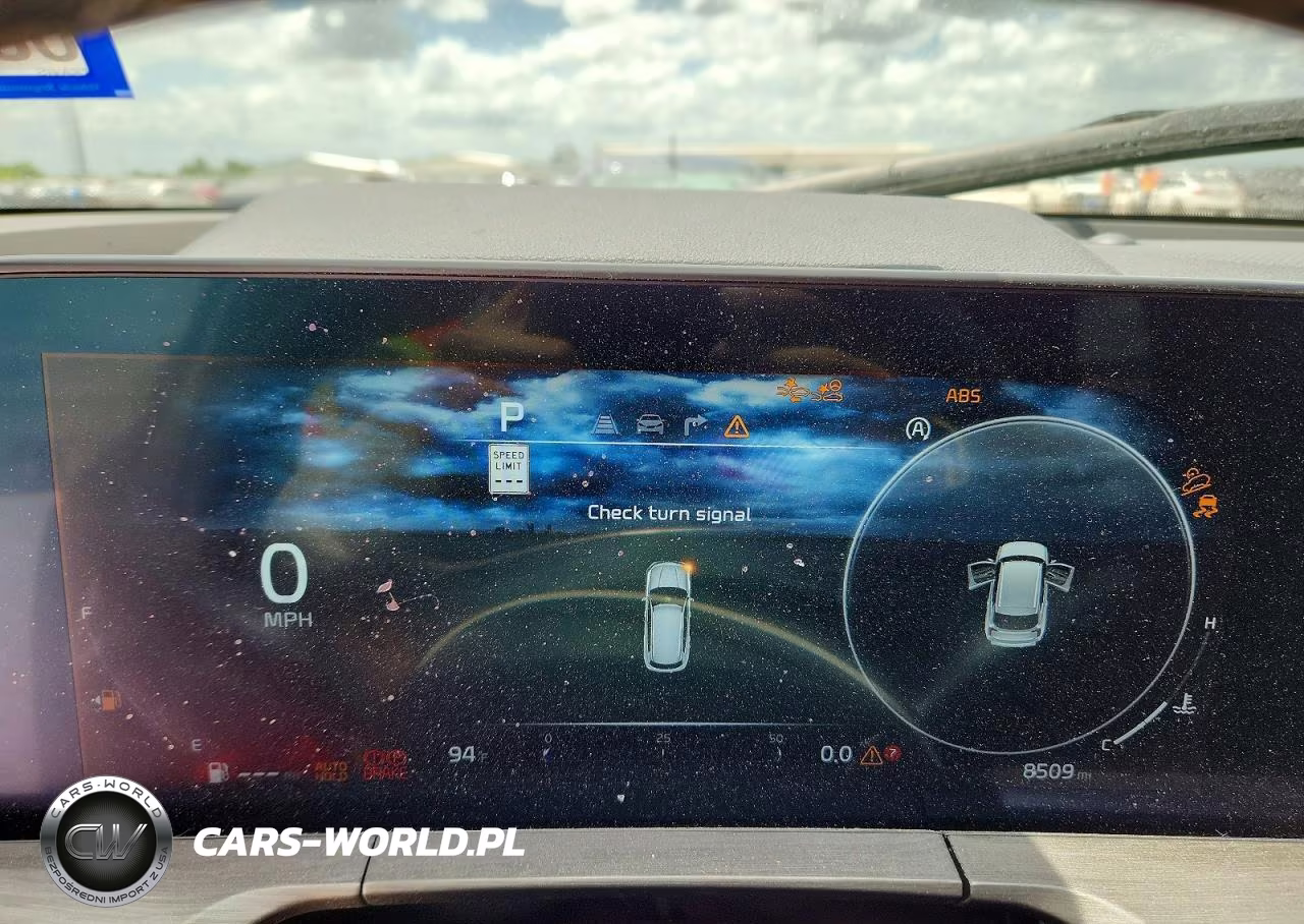 2025 Kia Telluride Sx X-Line VIN:5XYP5DGC1SG671469 - 9