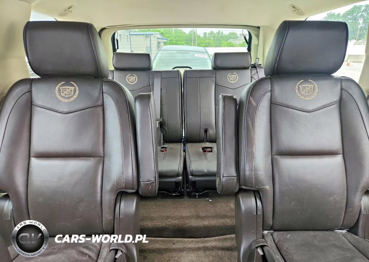 2013 Cadillac Escalade Platinum VIN:1GYS4DEF1DR297986 - 10