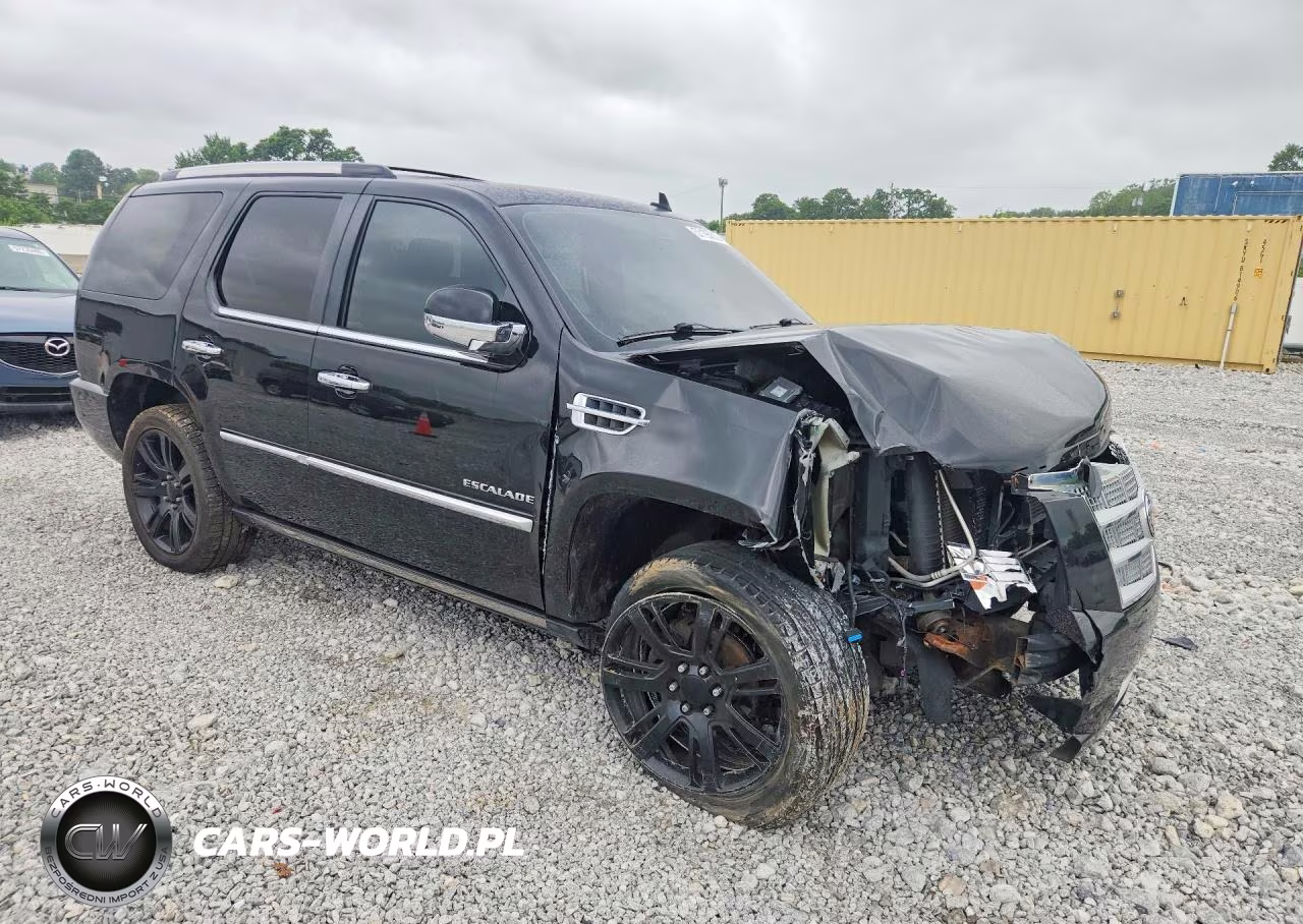 2013 Cadillac Escalade Platinum VIN:1GYS4DEF1DR297986 - 4