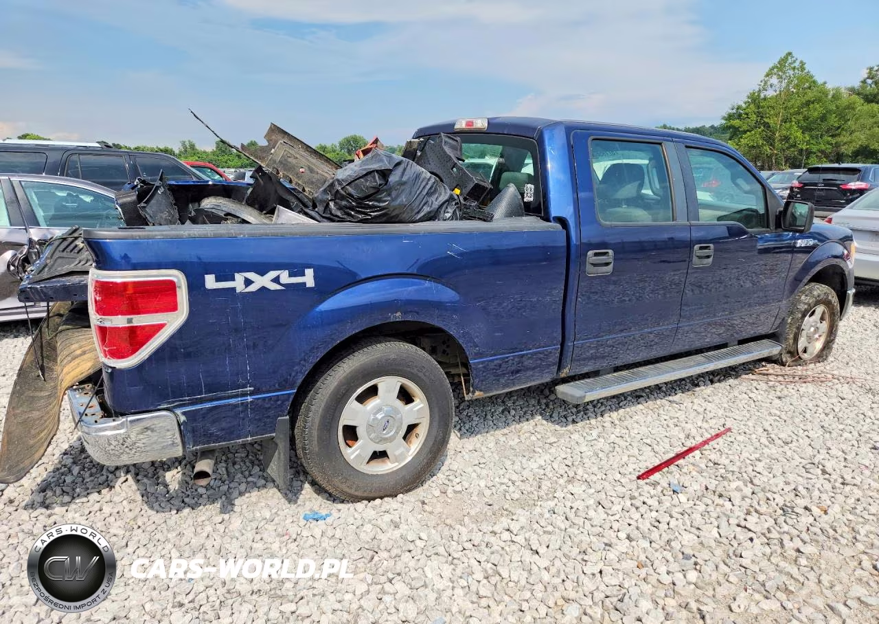 2009 Ford F150 Supercrew VIN:1FTRW148X9FA45873 - 3