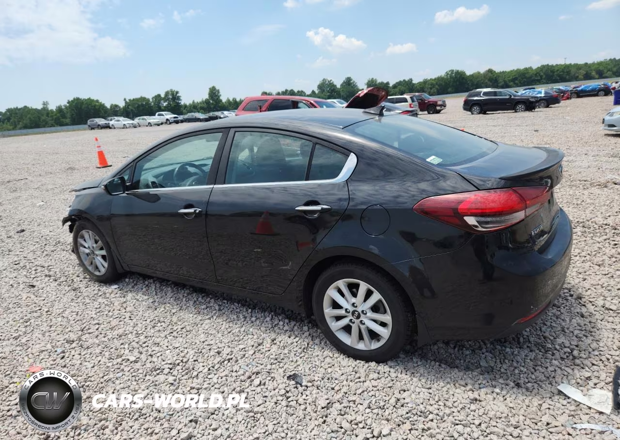 2017 Kia Forte S VIN:3KPFL4A7XHE113493 - 2