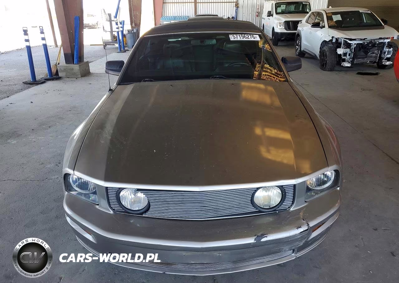 2009 Ford Mustang Gt VIN:1ZVHT85HX95105617 - 5