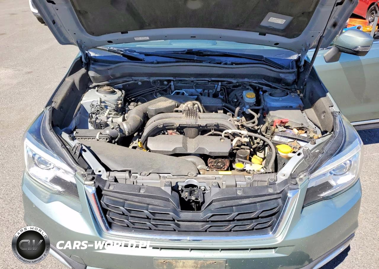 2017 Subaru Forester 2.5I Touring VIN:JF2SJAWC1HH549797 - 11