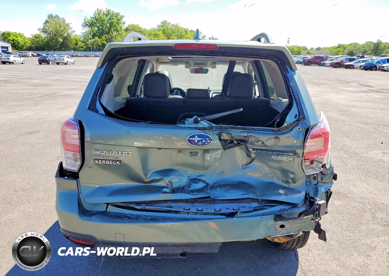 2017 Subaru Forester 2.5I Touring VIN:JF2SJAWC1HH549797 - 6