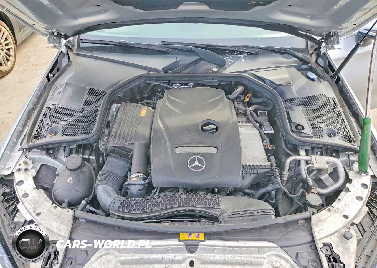2017 Mercedes-Benz C 300 VIN:WDDWK4JBXHF504176 - 11