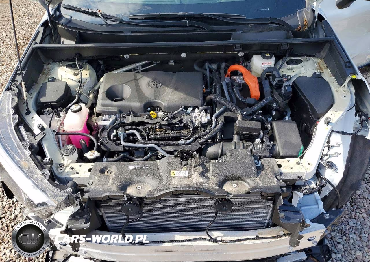 2025 Toyota Rav4 Xse VIN:JTME6RFV6SD570852 - 12