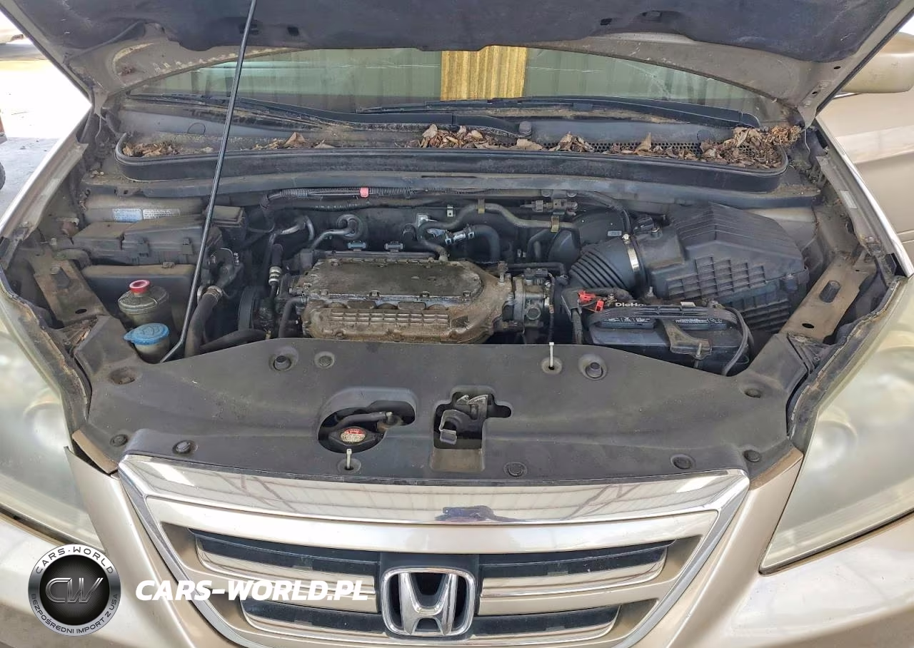 2007 Honda Odyssey Exl VIN:5FNRL38647B406867 - 11