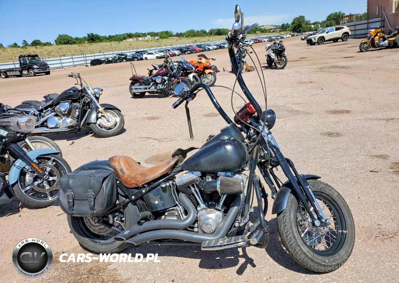 2010 Harley-Davidson Flstsb – zdjęcie 1 z 8