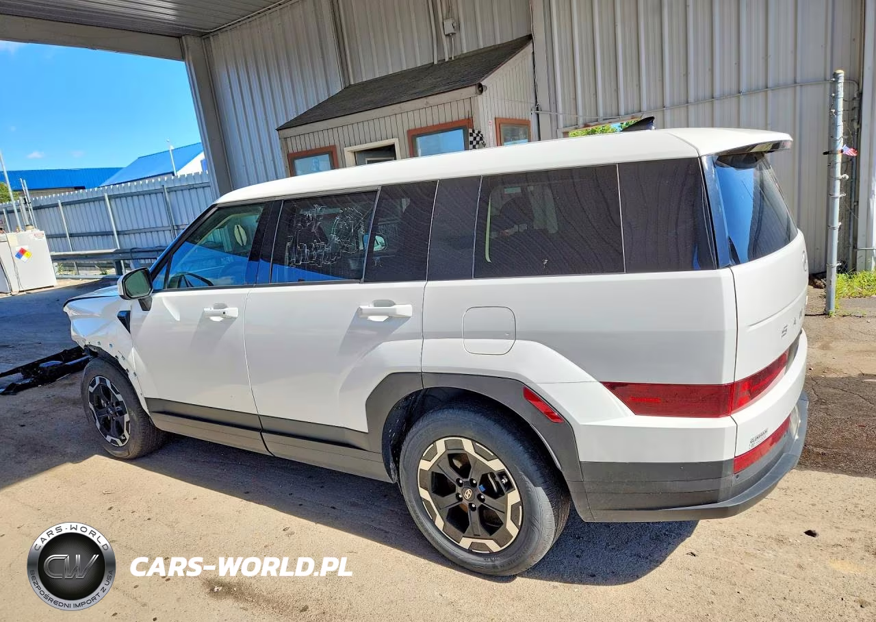 2024 Hyundai Santa Fe Se VIN:5NMP1DGL8RH031030 - 2