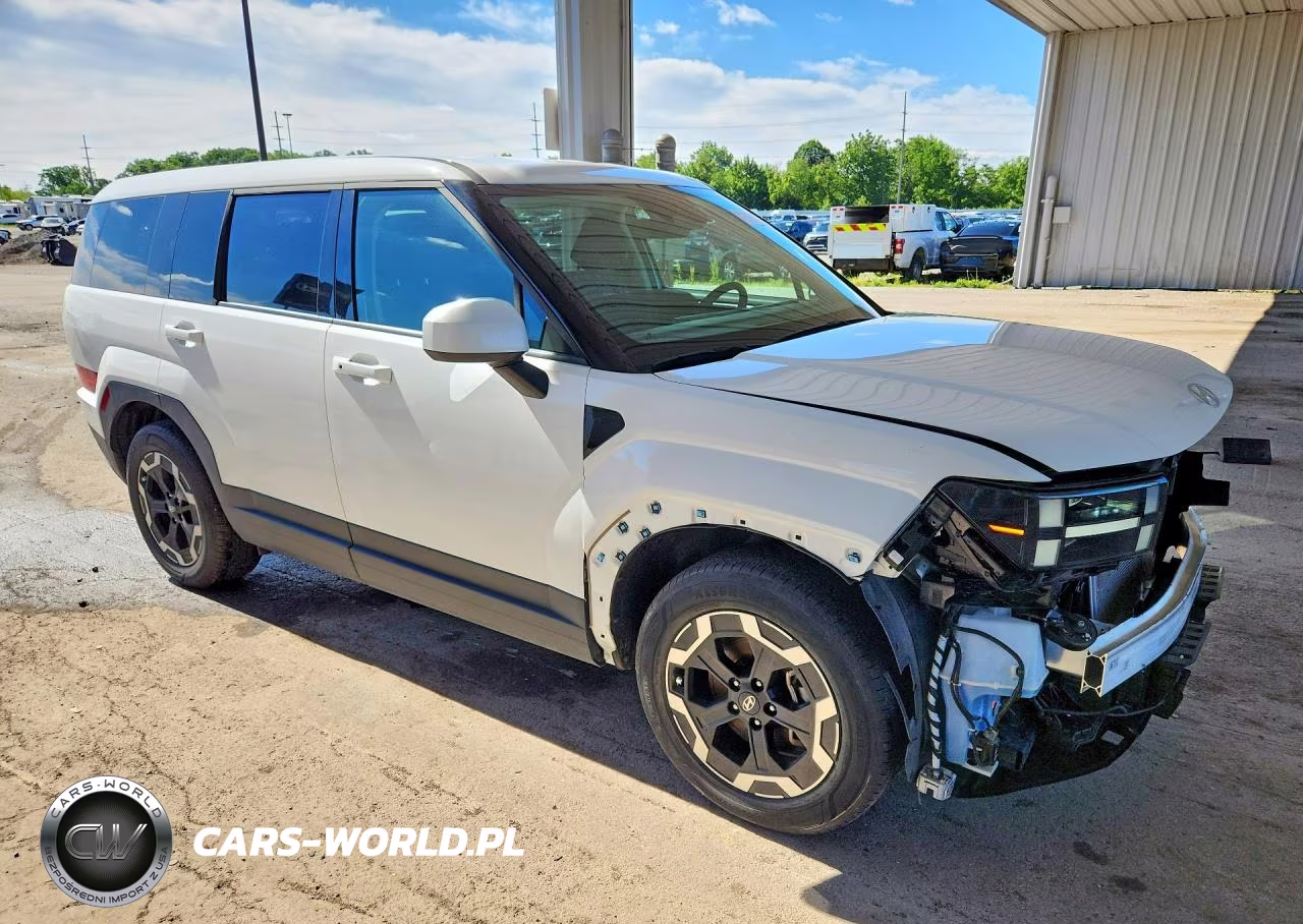 2024 Hyundai Santa Fe Se VIN:5NMP1DGL8RH031030 - 4