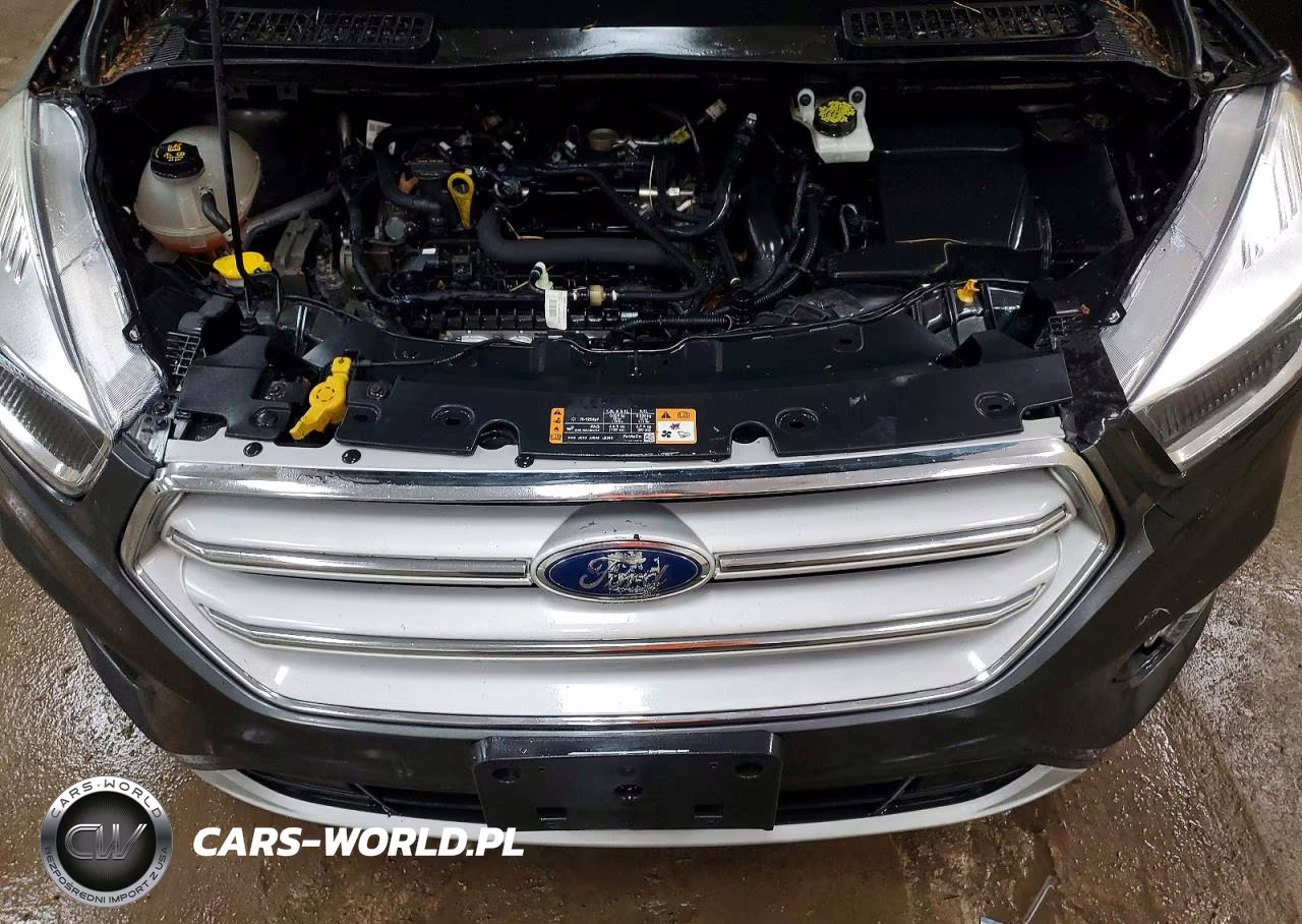 2019 Ford Escape Se VIN:1FMCU9GD5KUB82123 - 12