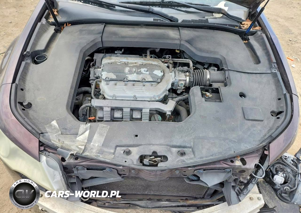 2009 Acura Tl VIN:19UUA86569A016910 - 11