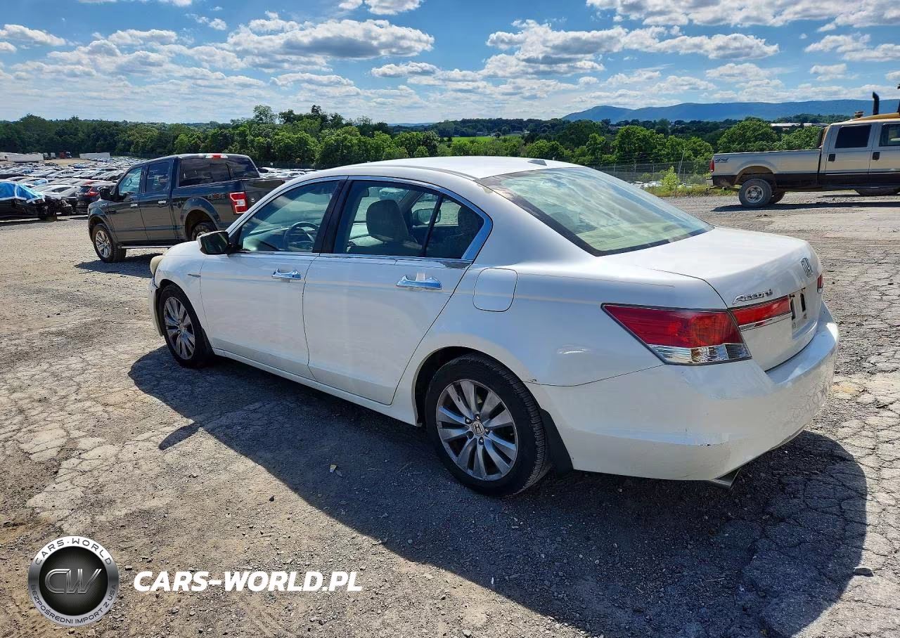 2011 Honda Accord Exl VIN:5KBCP3F81BB003437 - 2