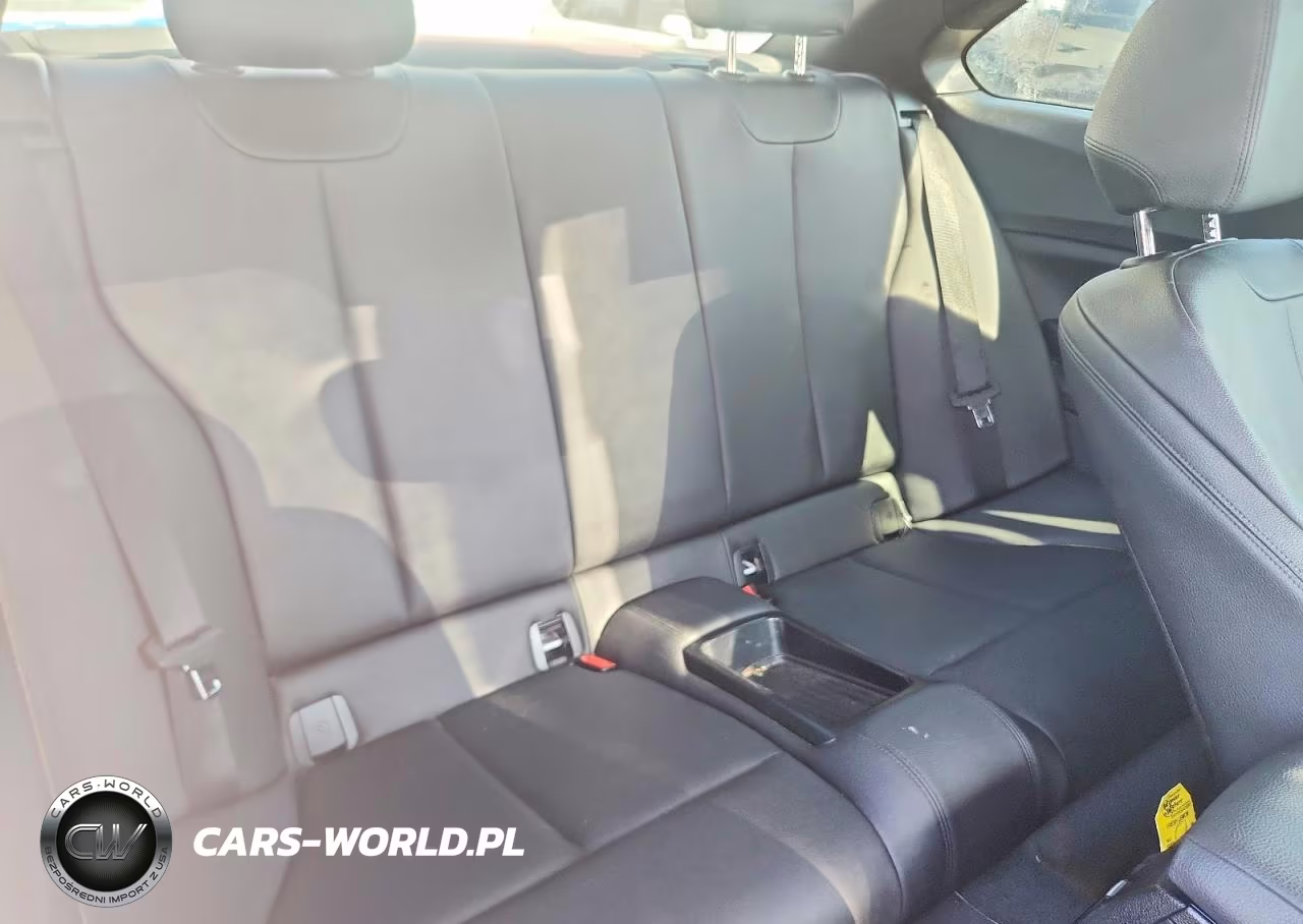 2016 BMW 228 I Sulev VIN:WBA1F9C56GV546634 - 10