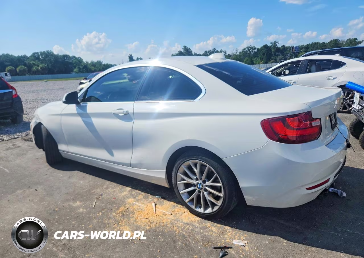 2016 BMW 228 I Sulev VIN:WBA1F9C56GV546634 - 2