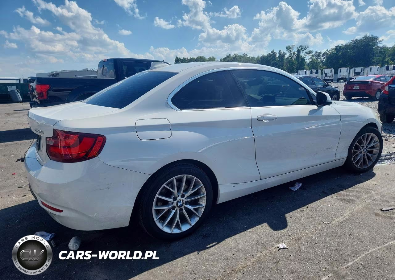 2016 BMW 228 I Sulev VIN:WBA1F9C56GV546634 - 3