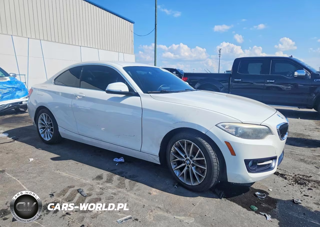2016 BMW 228 I Sulev VIN:WBA1F9C56GV546634 - 4