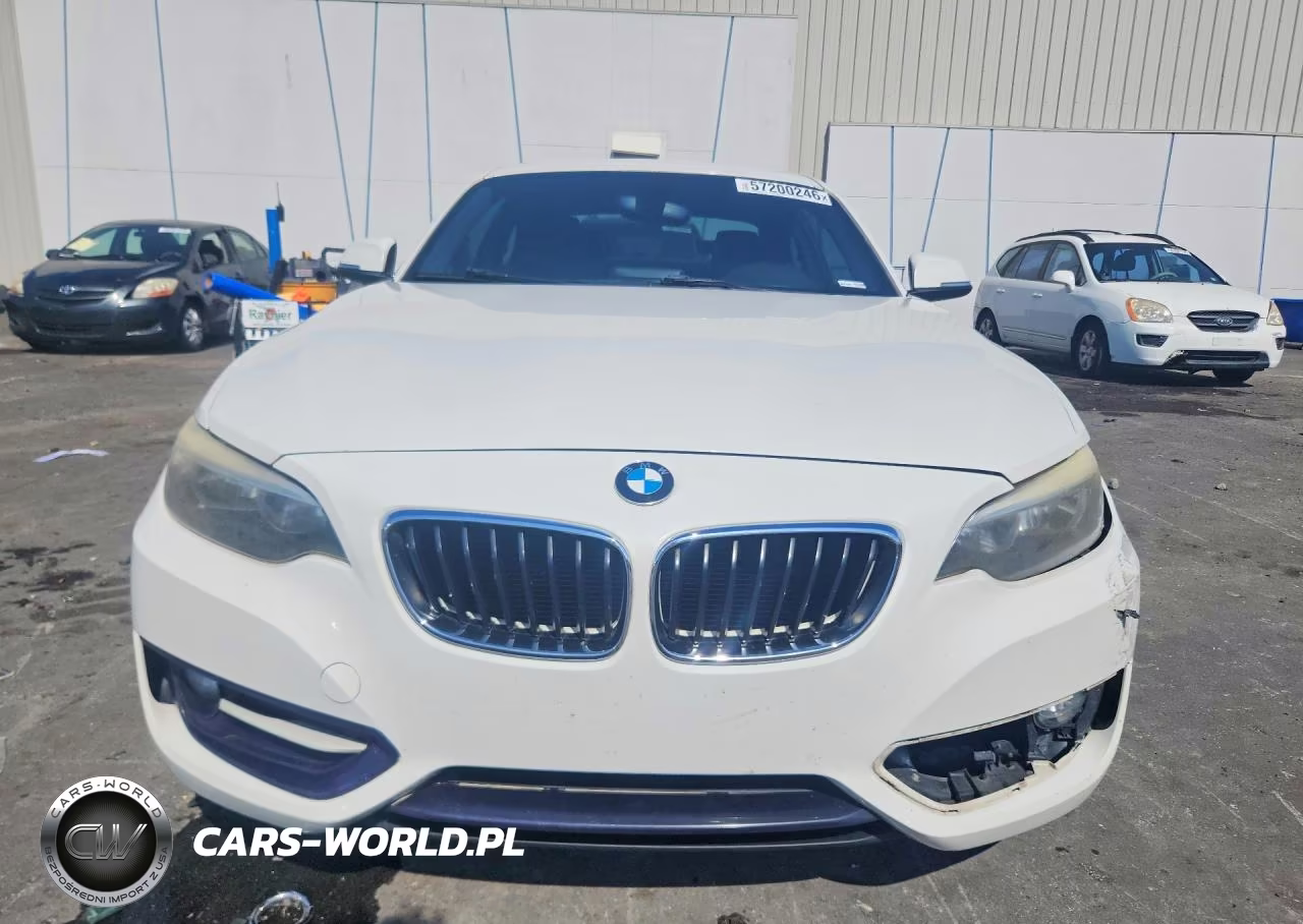 2016 BMW 228 I Sulev VIN:WBA1F9C56GV546634 - 5